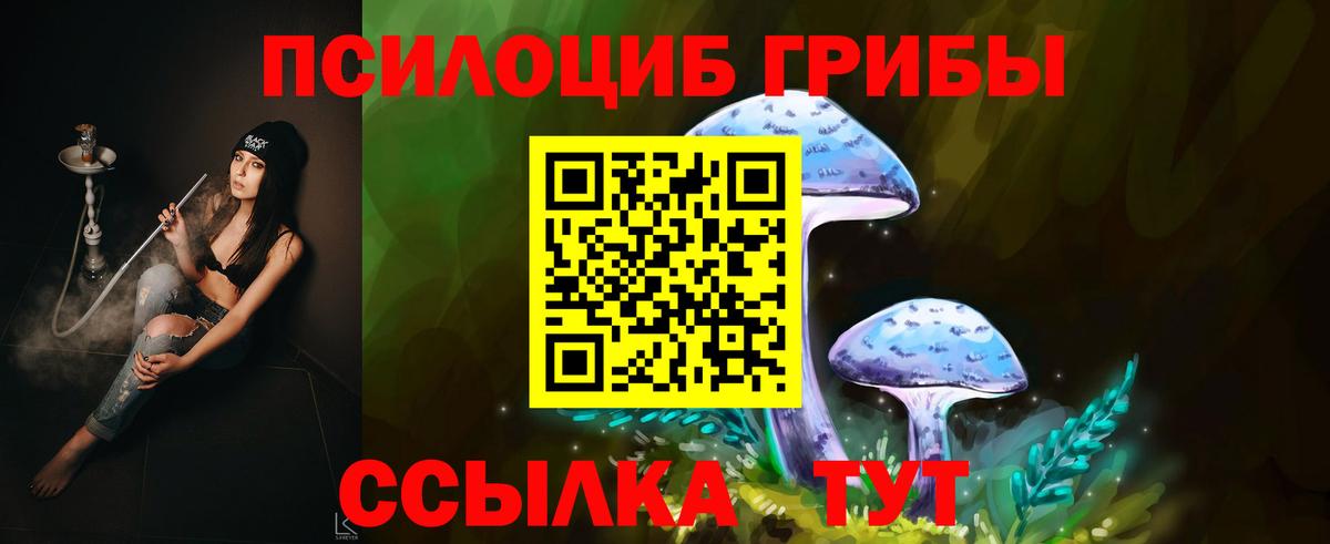 Галлюциногенные грибы мицелий  Вход с VPN  купить наркоту  Дмитров 